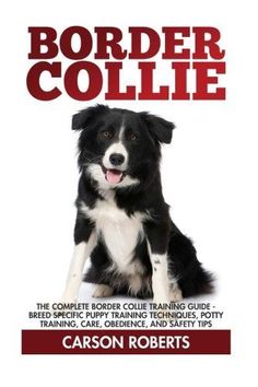 stubborn to obedient border collie owners guide