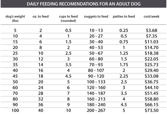 raw food diet for dogs feeding guide