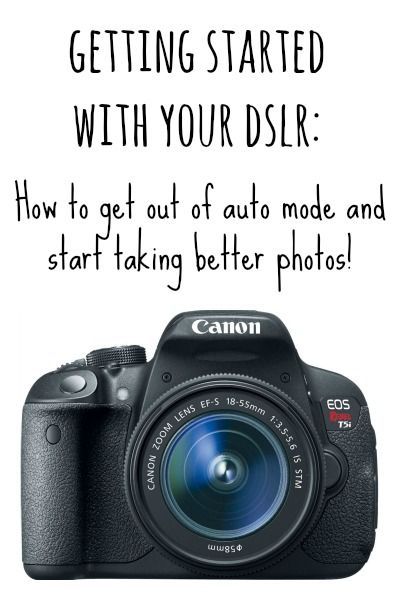 beginners guide to dslr photography