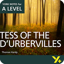 tess of the d urbervilles study guide pdf