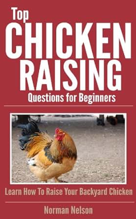 beginners guide to raising chickens