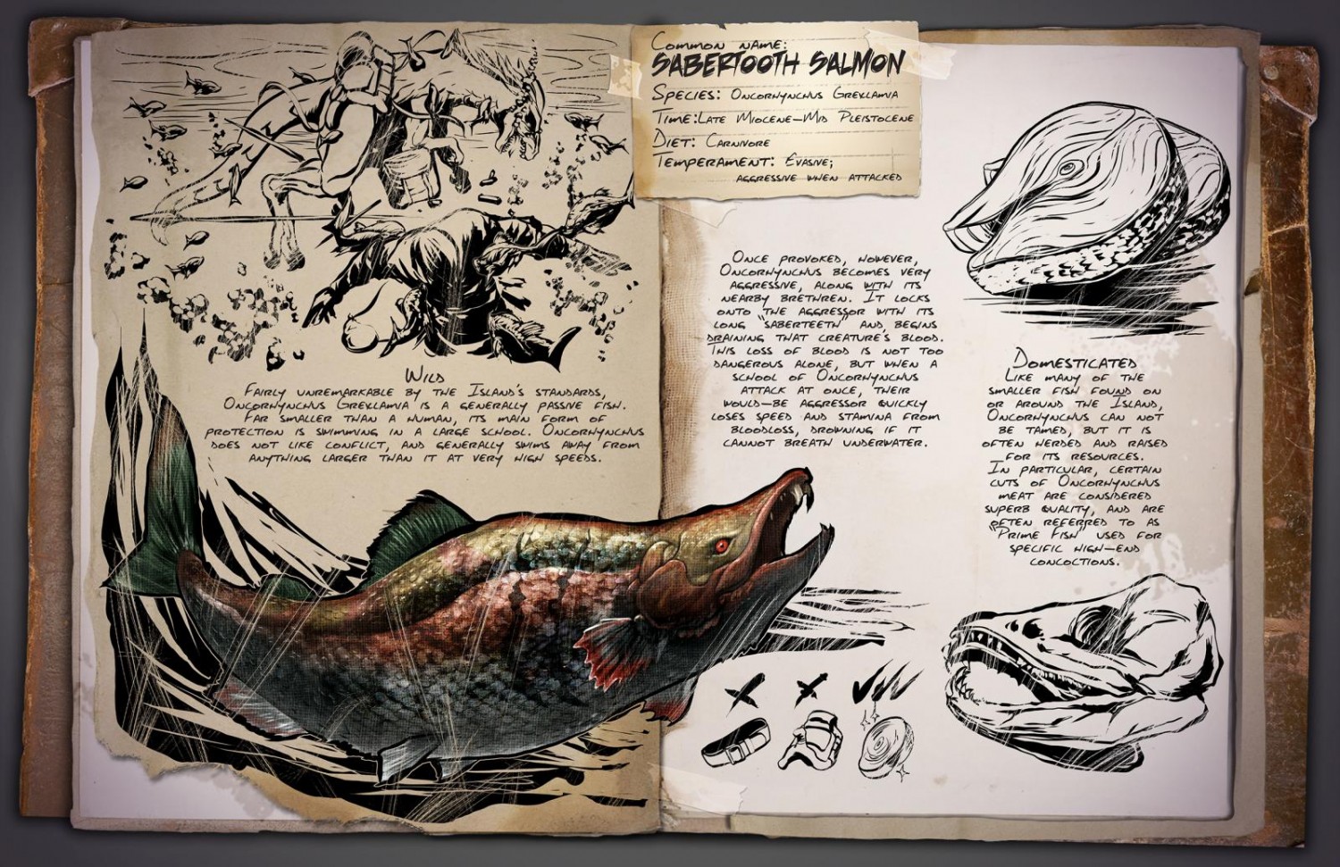 ark survival evolved fishing guide
